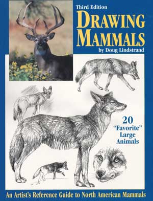 Drawing Mammals